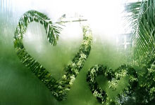 爱游戏体育-威廉姆斯翻盘红牛二队，诺里斯关键制胜