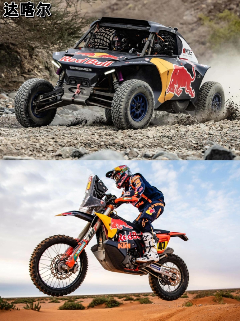 红牛二队力克雷诺车队，诺里斯惊艳四座